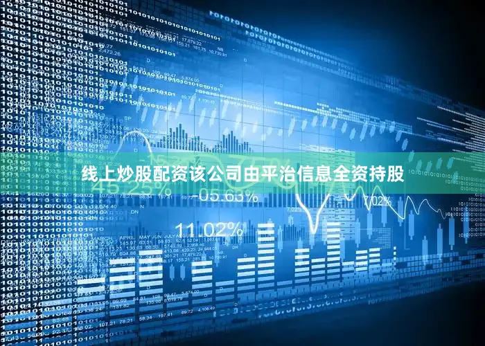 线上炒股配资该公司由平治信息全资持股