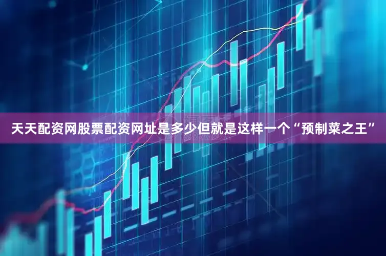 天天配资网股票配资网址是多少但就是这样一个“预制菜之王”